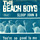 Beach Boys : Sloop John B, 7" PS from Holland
