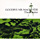 Goodbye Mr. Mackenzie : The Rattler, 7" PS from UK