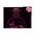 Chick Webb : Midnite in Harlem, LP from UK