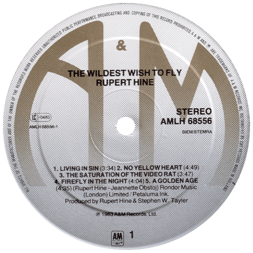 Rupert Hine - The Wildest Wish To Fly - A&M AMLH 68556 Holland LP